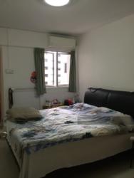 Blk 331 Clementi Avenue 2 (Clementi), HDB 3 Rooms #113654092
